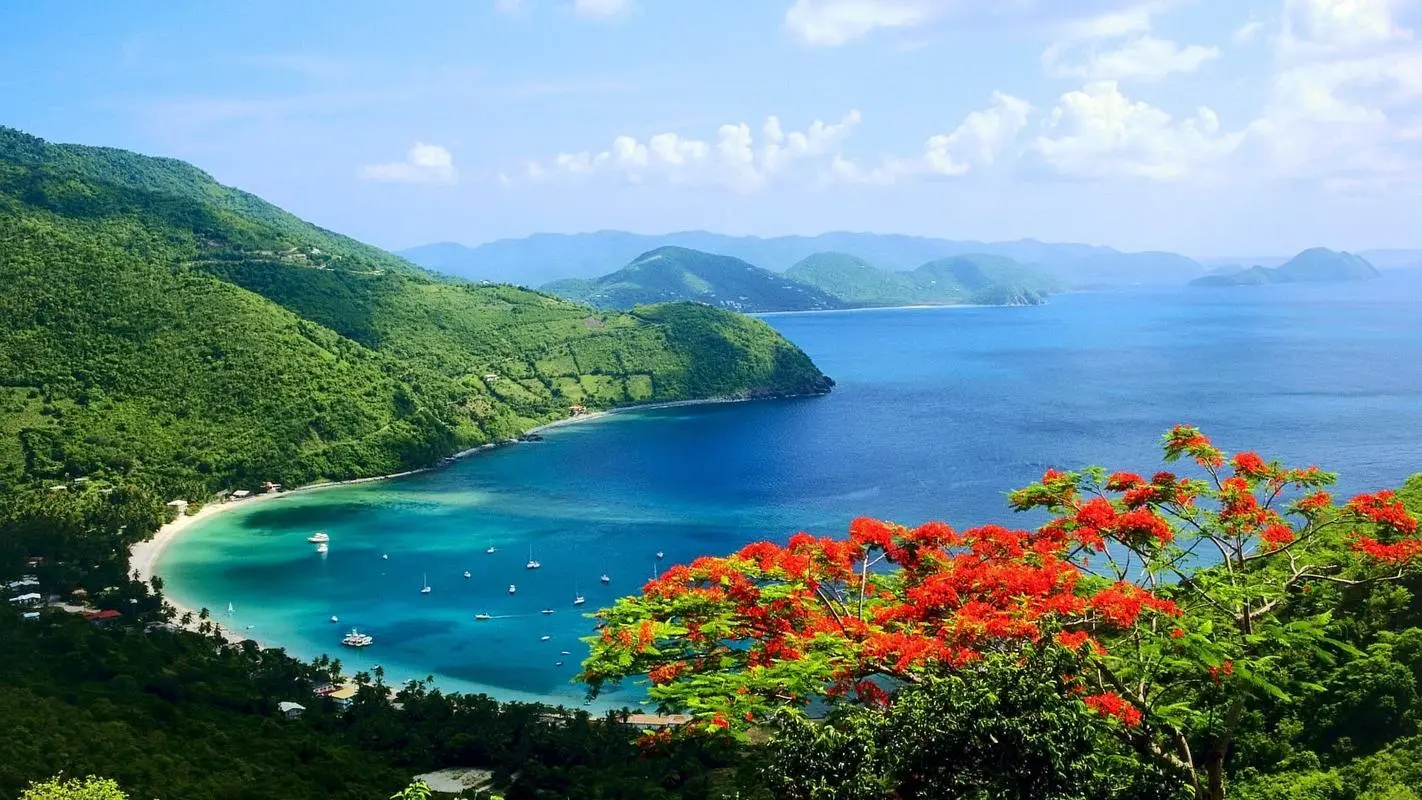 高精度创意